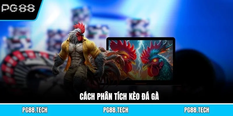 Cách phân tích kèo đá gà