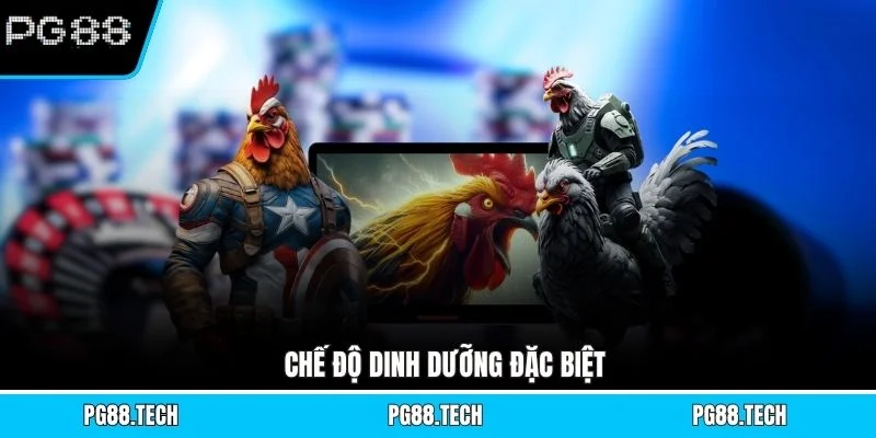 Chế độ dinh dưỡng đặc biệt 