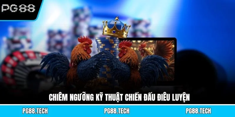 Chiêm ngưỡng kỹ thuật chiến đấu điêu luyện 